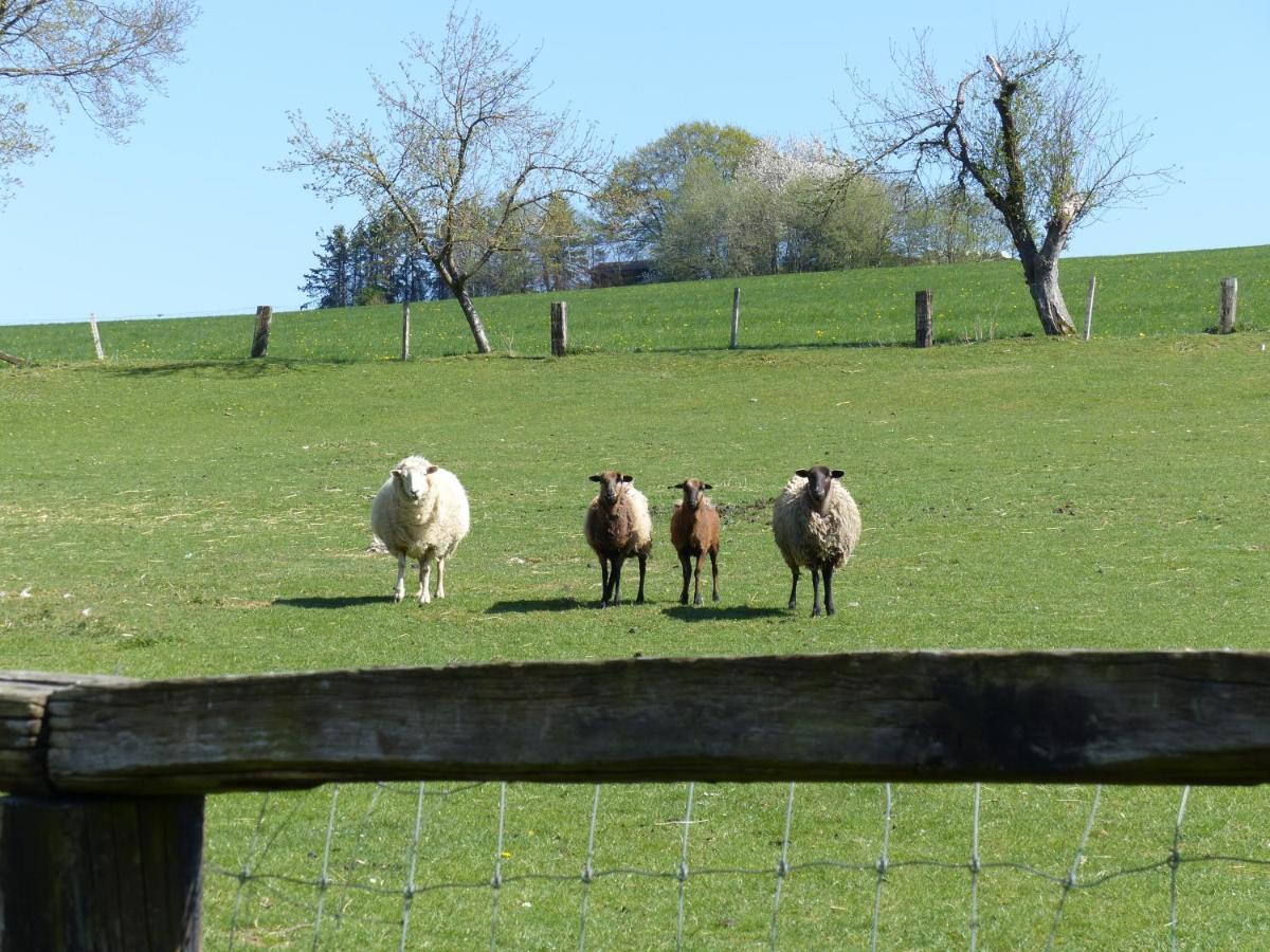 Xavers Ranch Meschede Eksteriør bilde